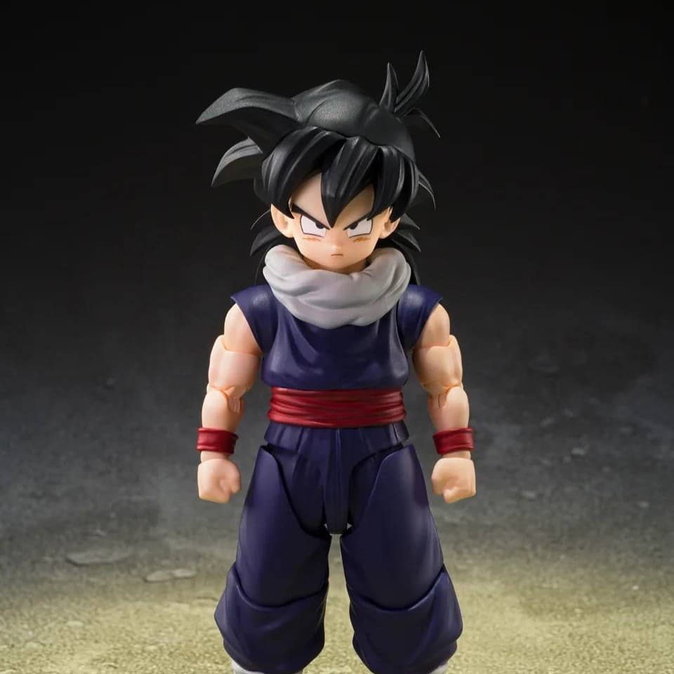 Son Gohan Z-FIGHTERS Ver. (First Press Bonus)